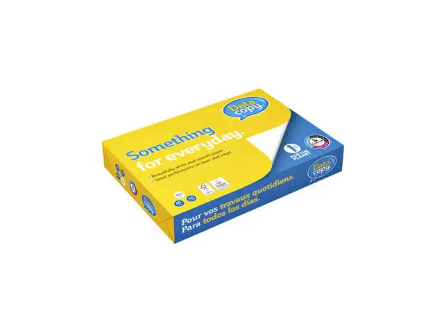 Kopieerpapier Datacopy A4 80 Gram Wit 500Vel