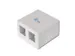 Consolidatiepuntbehuizing voor 2x Keystone modules Wit 2-Poorts