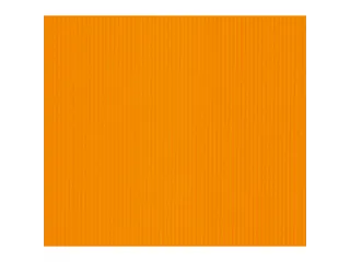 Showalbum PP 30pochetten Linicolor - 11