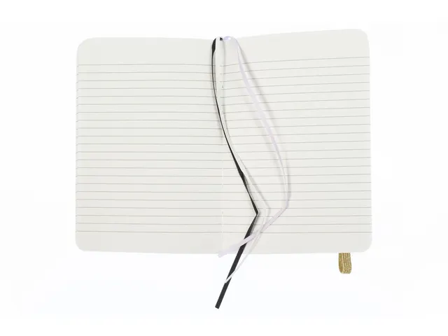 Carnet de notes Pure Croco A6 ligné 2 pces 80gramme 160pages noir et