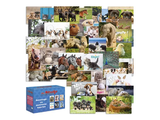 Cartes de récompense De Stulp thème animaux assorti