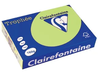 Trophée Pastel gekleurd papier A4 160 gram 250vel Golfgroen - 1