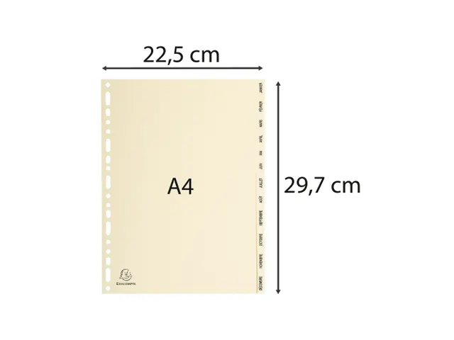 Tabbladen karton 155 g jan-dec ivoor