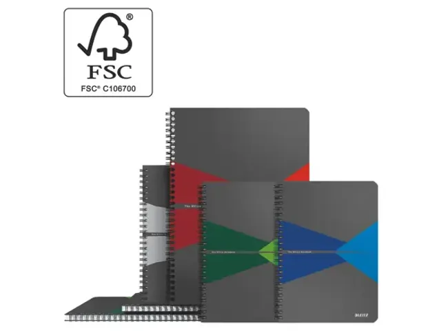 Cahier Leitz Office A4 ligné couverture PP gris/bleu