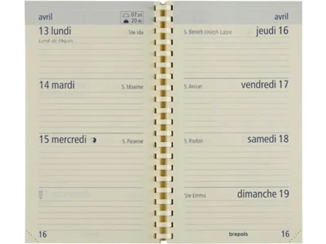 Optivision Franstalig, Palermo, zwart 2026