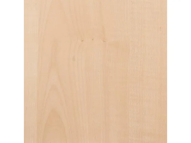 vergadertafel HxBxD 72x200x90cm ovaal Esdoorn 4voeten Alu ronde buis