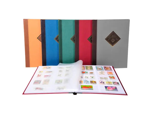 - Couleurs assorties