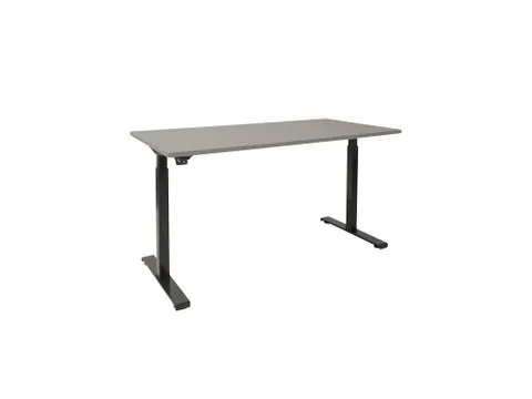 Elektrisch Verstelbaar Bureau Licht grijs 2 Motoren 160x80cm Zwart