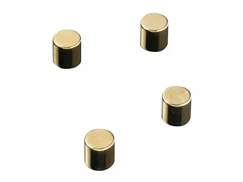 Glasbordmagneten Naga 10x10xmmcylinder set a 4st. goud