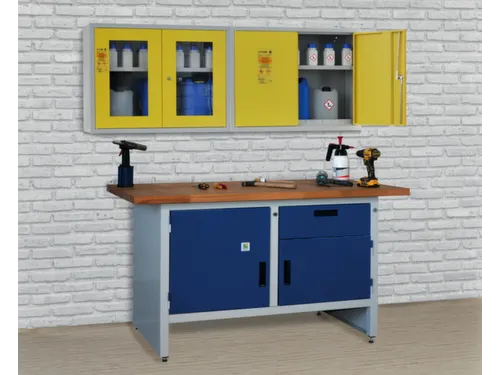 milieu-wandkast,v. aquatox. stoffen,HxBxD 600x800x300mm