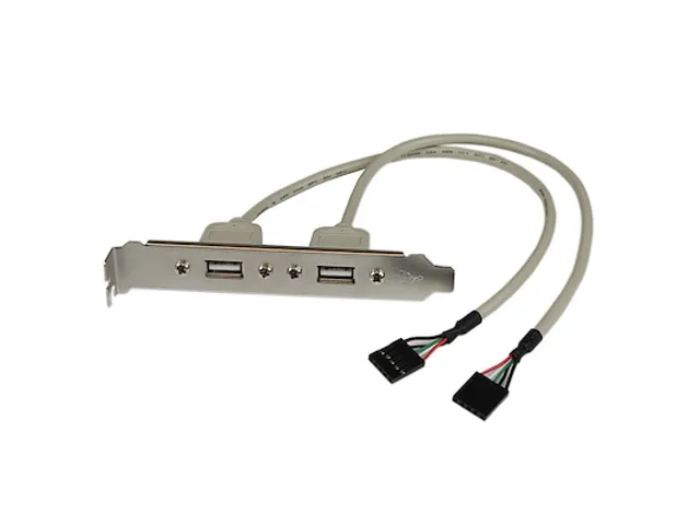 2-poort USB A Vrouwelijke Adapter Slotplaatje