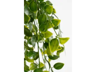 Kunstplant Mica Ficus hangend in pot groen 20x46cm - 9