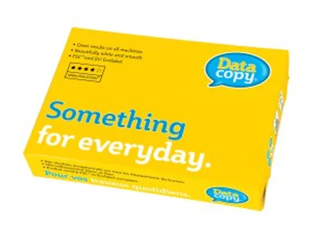 Kopieerpapier A4 4-Gaats Datacopy 80 Gram Wit Pallet