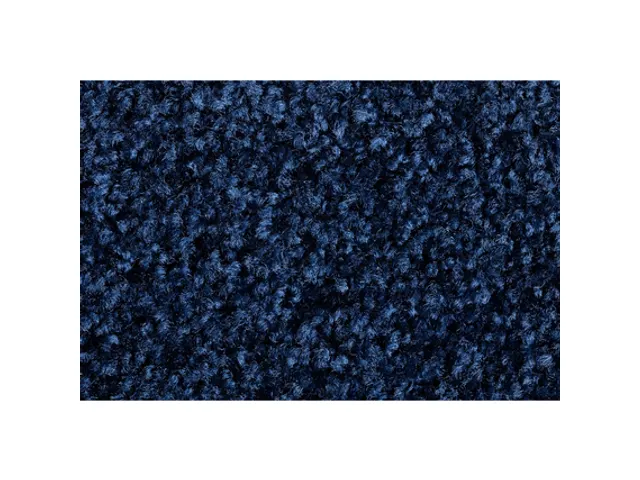 Tapis d'entrée intérieur 60x90cm lavable Bleu