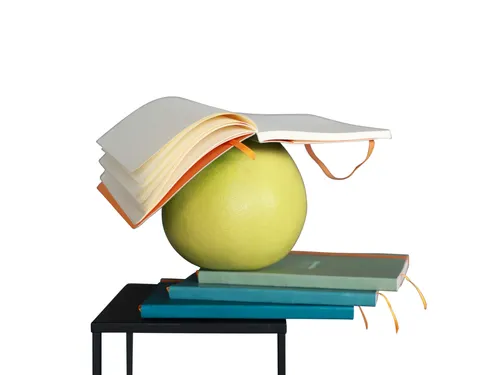 Notitieboek Rhodia A6 lijn 72 vel 90gr zwart