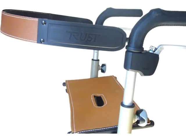 Trustcare Rugsteun Bruin voor Let's Go Out & Let's Fly rollator