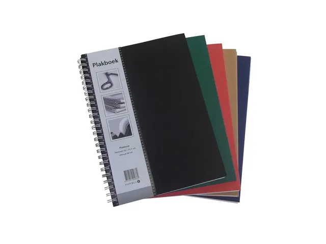 Plakboek Papyrus 330x230mm 40 vel assorti