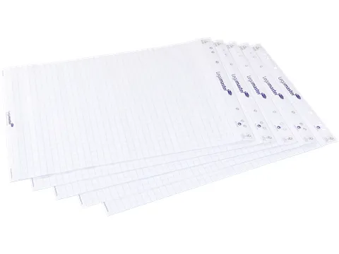 Flipoverpapier Legamaster ruit 20vel