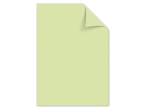Papier Kangaro A4 120grs lichtgroen pak 100 vel