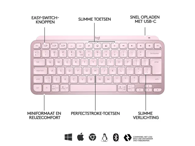 Logitech MX Keys Mini Minimalist Toetsenbord Roze Qwerty US