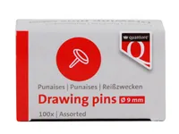 Quantore Punaises