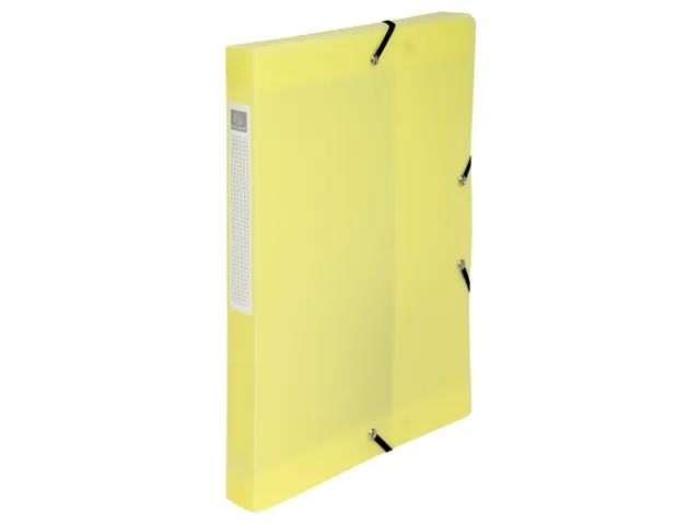 Boite de classement Exabox Dos 25mm Polypropylène 7/10e Chromaline pa