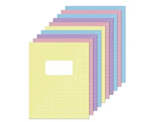 Schrift Kangaro A5 ruit 10mm 80pagina's 60gram 10stuks pastel assorti - 1