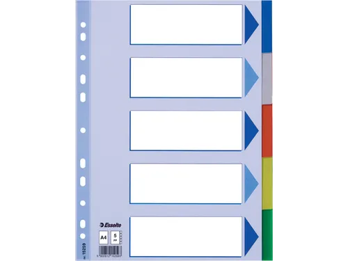 Esselte Tabbladen 5 Tabs