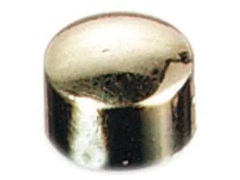 Magneten Prestige Goud 10mm