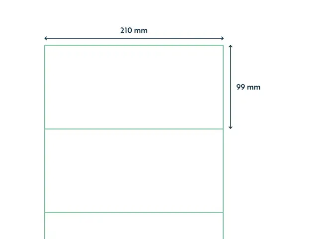 Verwijderbare Etiketten 210x99mm Doos a 1000 Vel 42051