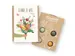 Giftbox Blossombs Dank je wel 4 zaadbommetjes