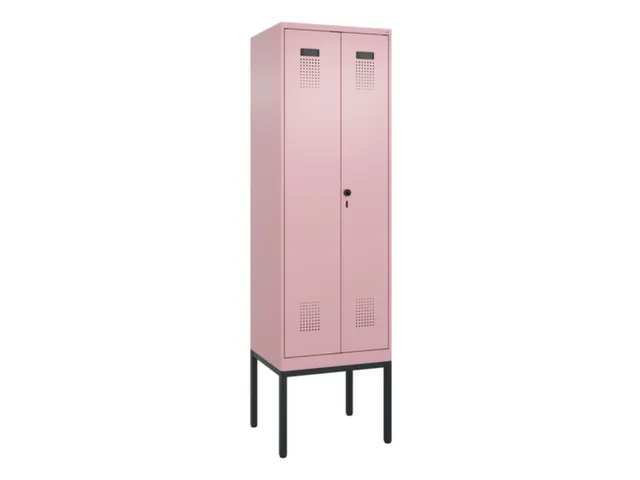 locker voor scheiding van kleding,HxBxD 2120x600x500mm,2vak