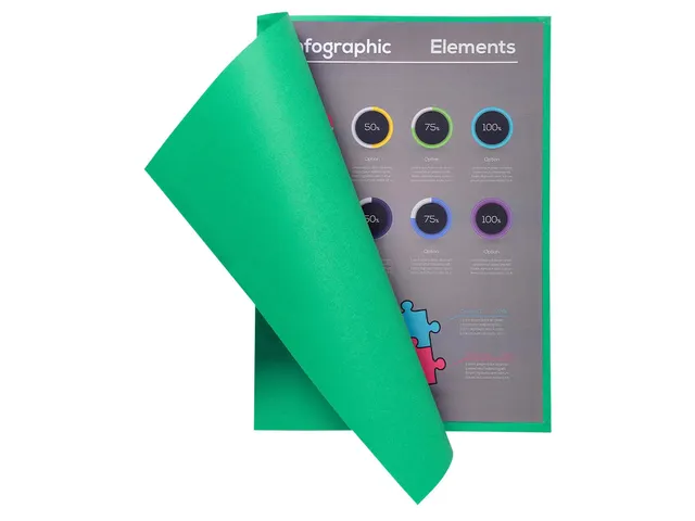 Vouwmap Exacompta Flash A4 80gr groen 100 Stuks