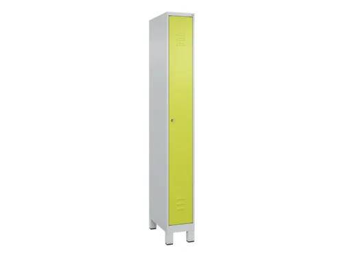 locker,HxBxD 1950x250x500mm,1vak,vak B 250mm,cil.-slot,voeten