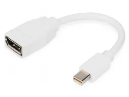 DisplayPort-adapterkabel type mini DP DP Male/Female 0,15m UHD 4K Wit
