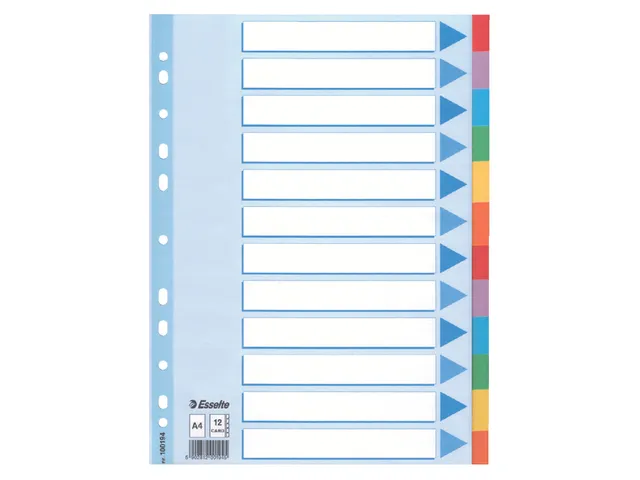 Tabbladen Esselte A4 11-Gaats Karton 12-Delig Assorti