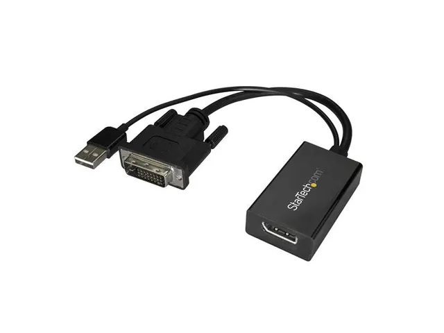 Dvi Naar Displayport Adapter Met Usb Power - 1920 X 1200
