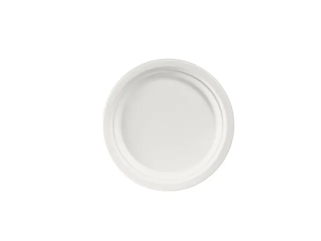 Bord ecoecho 220mm gebleekt suikerriet doos 8x50 stuks