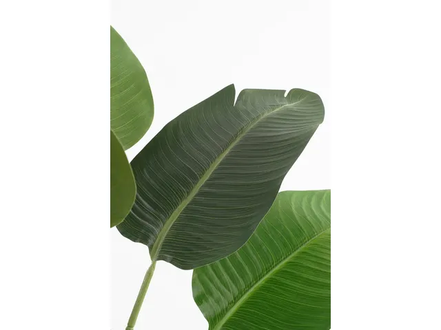 Kunstplant Mica Bananen boom in plastic pot 180x30cm