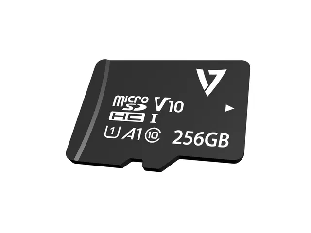 256GB Micro Sdxc Kaart V30