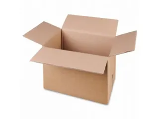 Amerikaanse Vouwdoos Dubbele Golf Bruin 310x220x200mm - 1