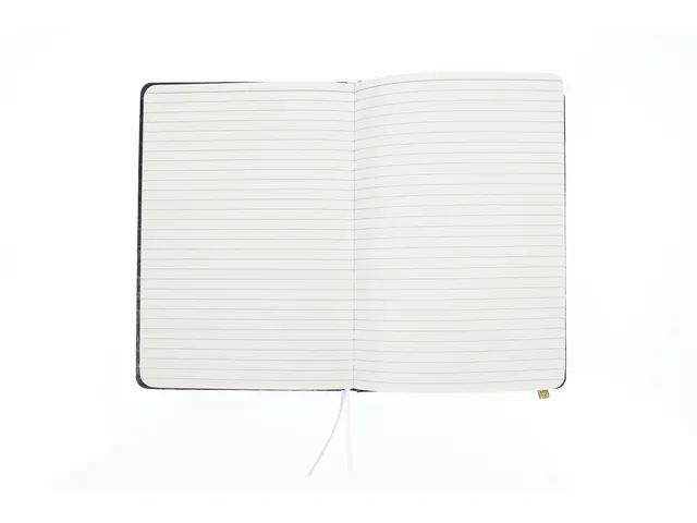 Carnet de notes Pure Croco A5 ligné 2 pces 80gramme 160pages noir et