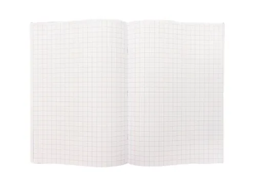 Schrift Kangaro A4 ruit 10mm 160 pagina's 60gr assorti pak à 5 stuks