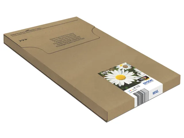 Multipack 4-colours 18XL EasyMail