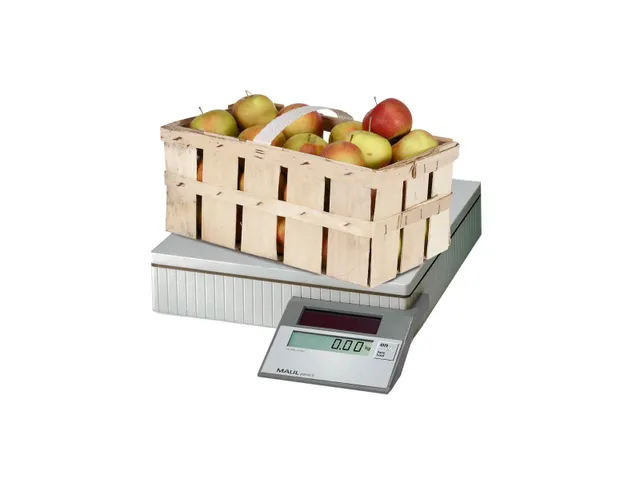 Pakketweger MAULparcel S solar 50kg