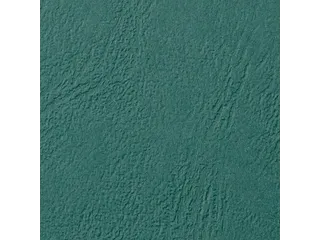 Voorblad Gbc A4 Lederlook 250 Gram Groen - 3