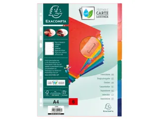 Tabblad Glanskarton 225 Gram A4 6Tabs - 4
