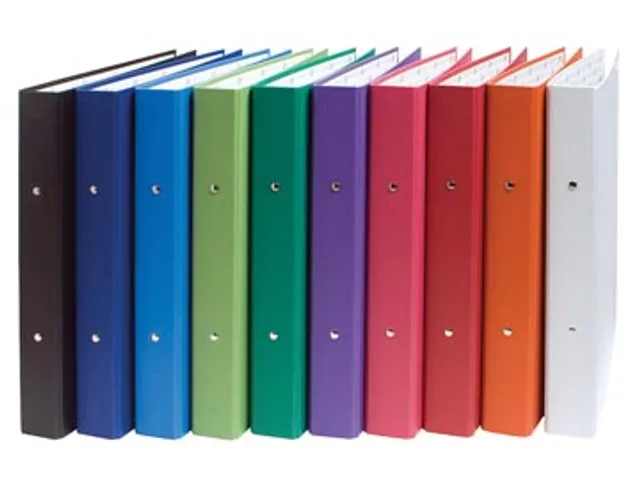 Exacompta Ringmap A4 2 rings 40mm Assorti