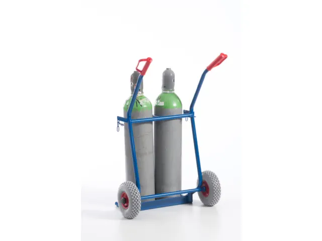 Diable Pour Bouteilles Force 100 kg 2bouteilles De 20 l Bandage Pneu