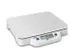 balance de table,non étalonnable,plateforme lxP 318x258mm,plastique